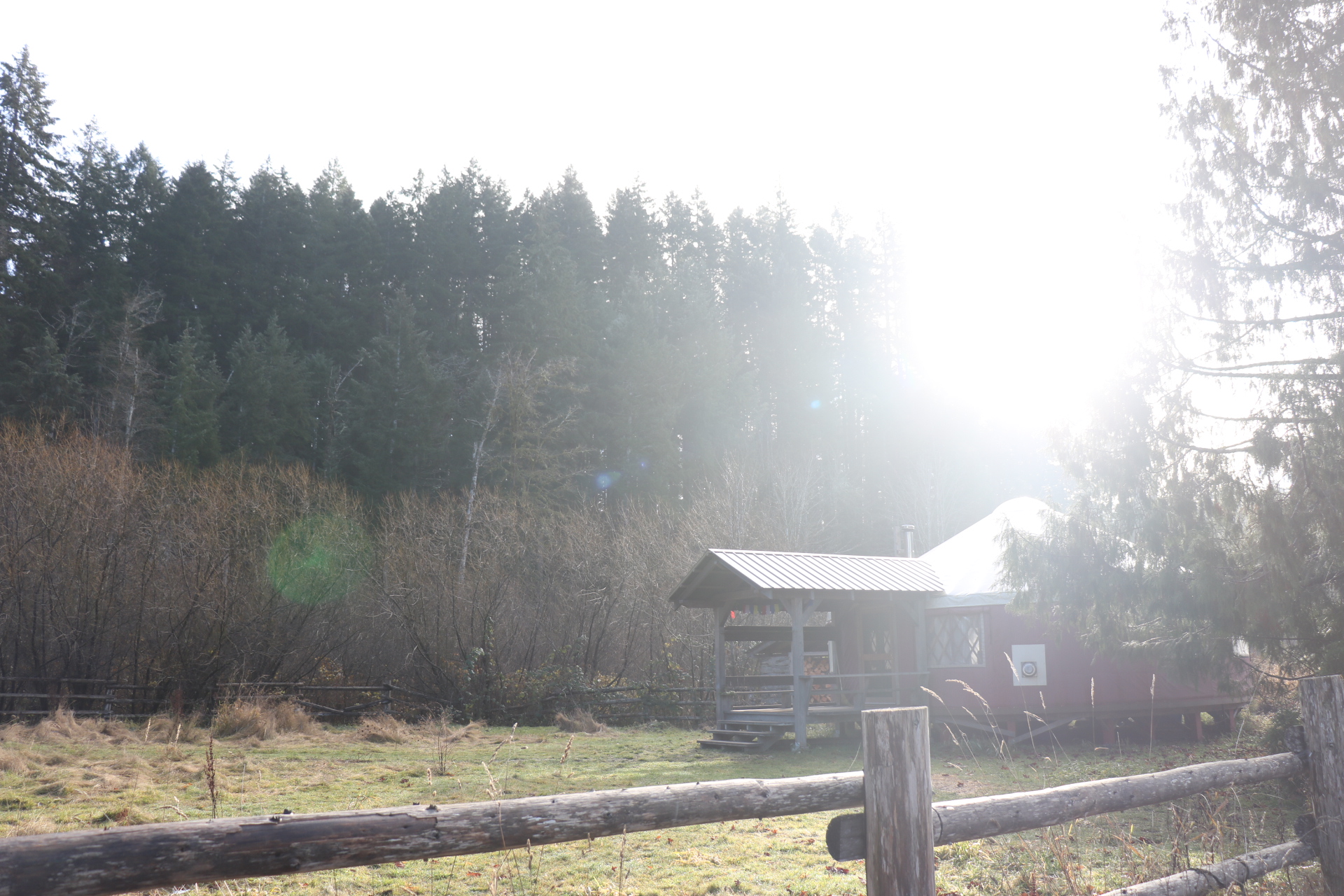 Shire Yurt